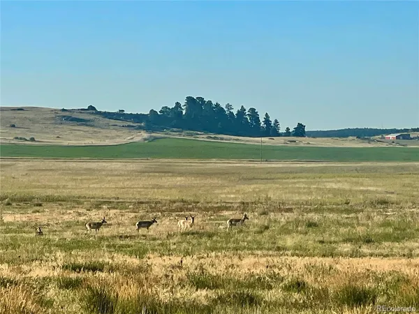 $189,900 | Craven, Elbert, CO 80106