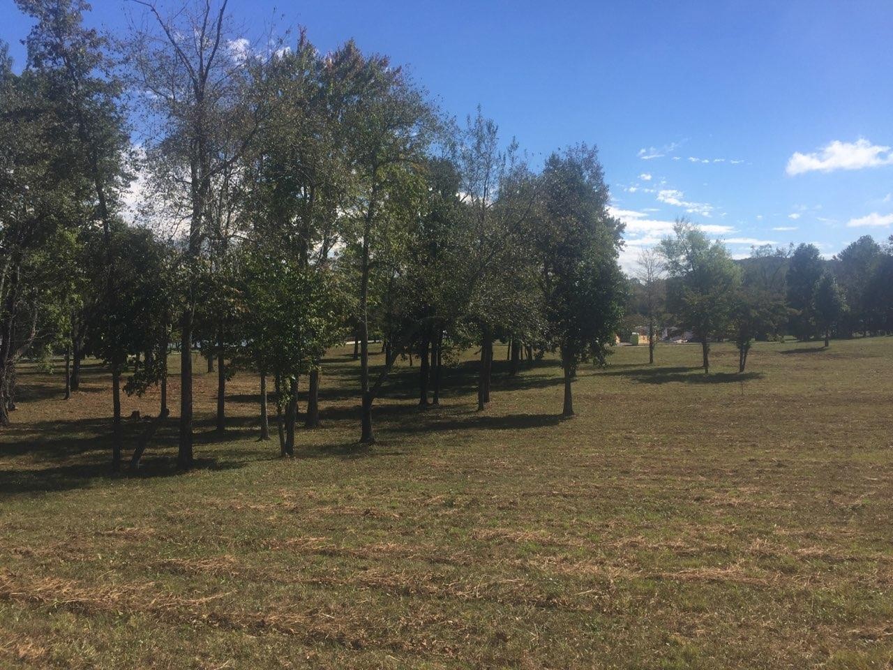 5 Stump Hollow Road Spring City, TN 37381 - Photo 19 of 19