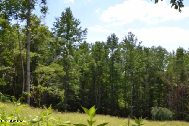 2390 Pea Ridge Fire Tower Road Celina, TN 38551 - Photo 6 of 58 DSC_0071