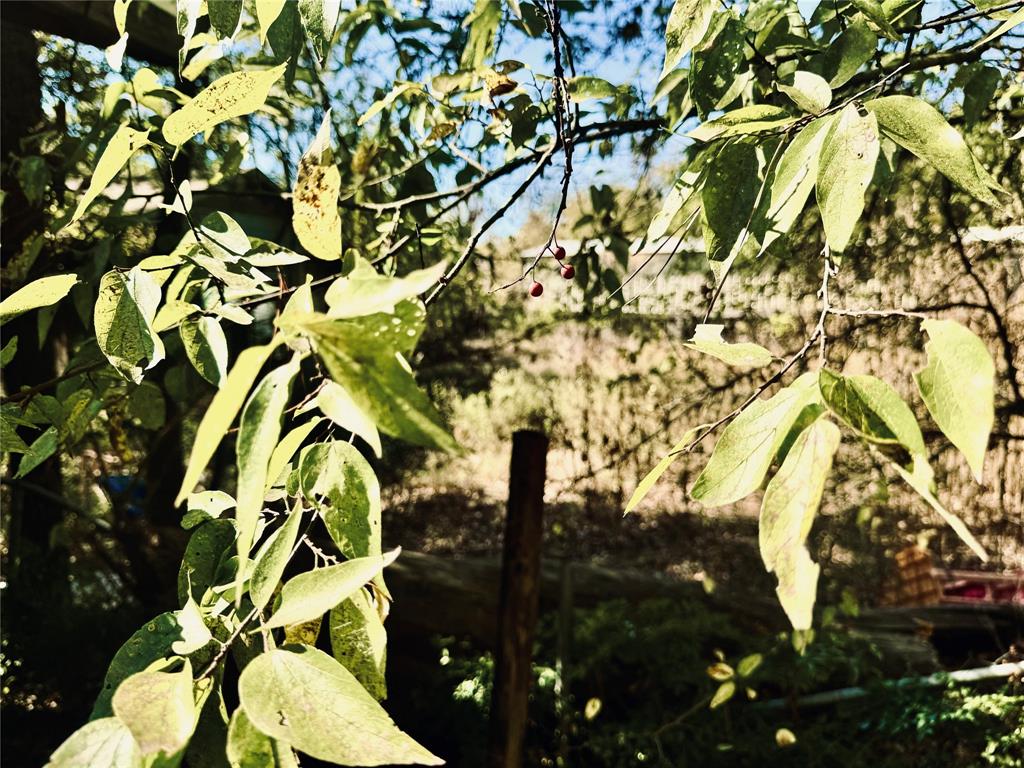2250 West Kaufman Street Paris, TX 75460 - Photo 7 of 36 a backyard of a house with table and chairs under an umbrella