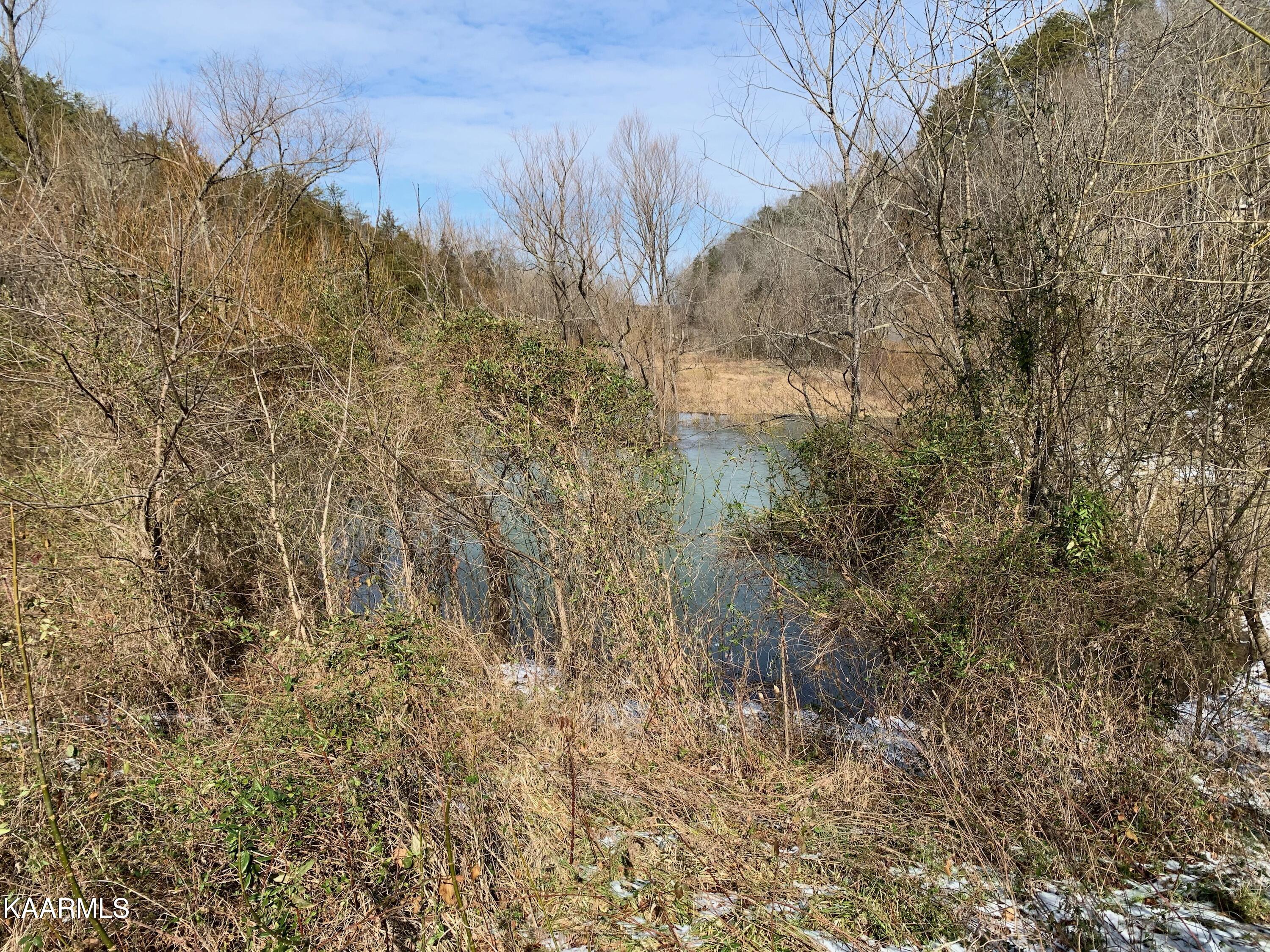 Romary Road Dandridge, TN 37725 - Photo 3 of 7 pond 2