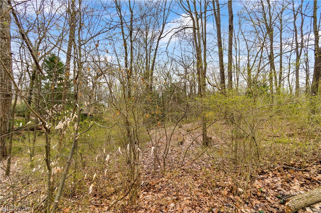 Salter Road Wooster, OH 44691 - Photo 8 of 9 Gallery Image 8