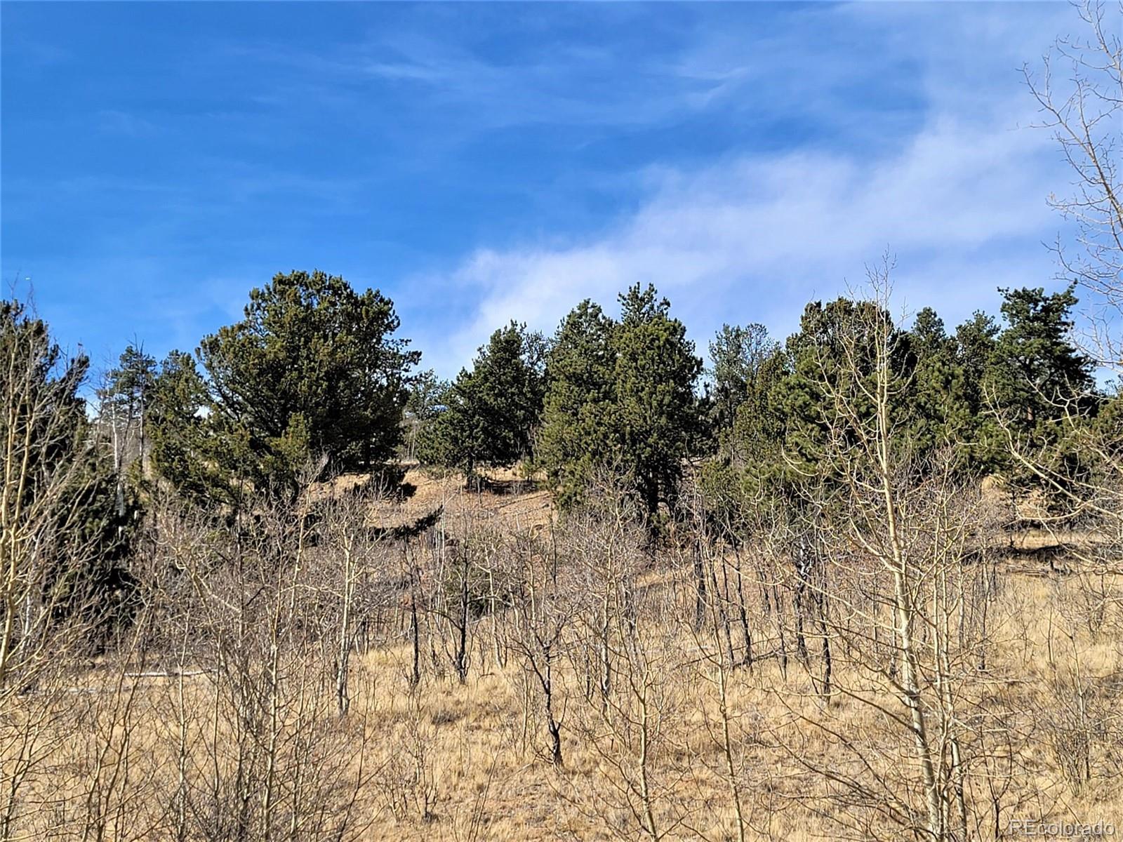 8000 Remington Road Como, CO 80432 - Photo 1 of 17 Gallery Image 1