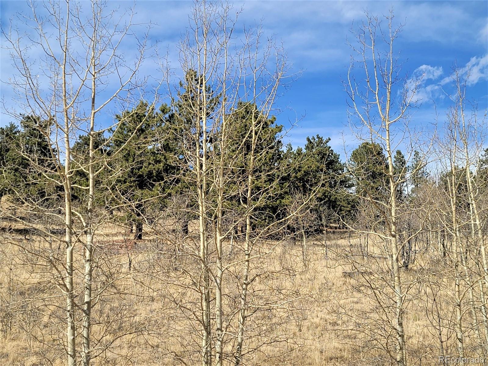 8000 Remington Road Como, CO 80432 - Photo 11 of 17 Gallery Image 11