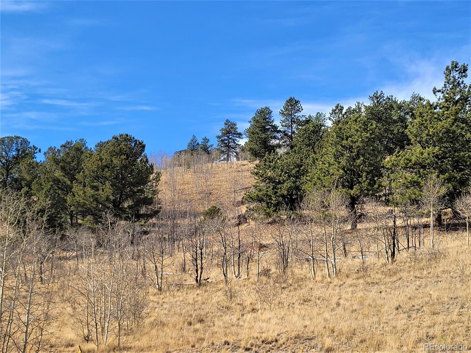8000 Remington Road Como, CO 80432 - Photo 14 of 17 Gallery Image 14