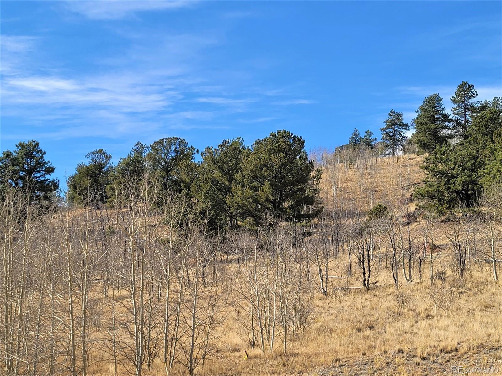 8000 Remington Road Como, CO 80432 - Photo 15 of 17 Gallery Image 15