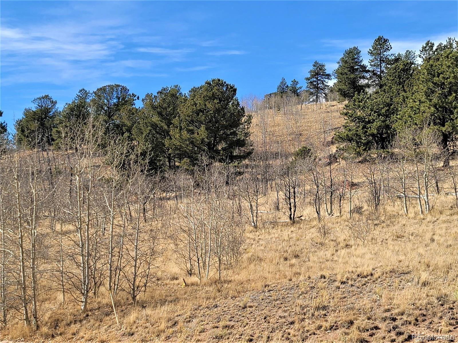 8000 Remington Road Como, CO 80432 - Photo 16 of 17 Gallery Image 16