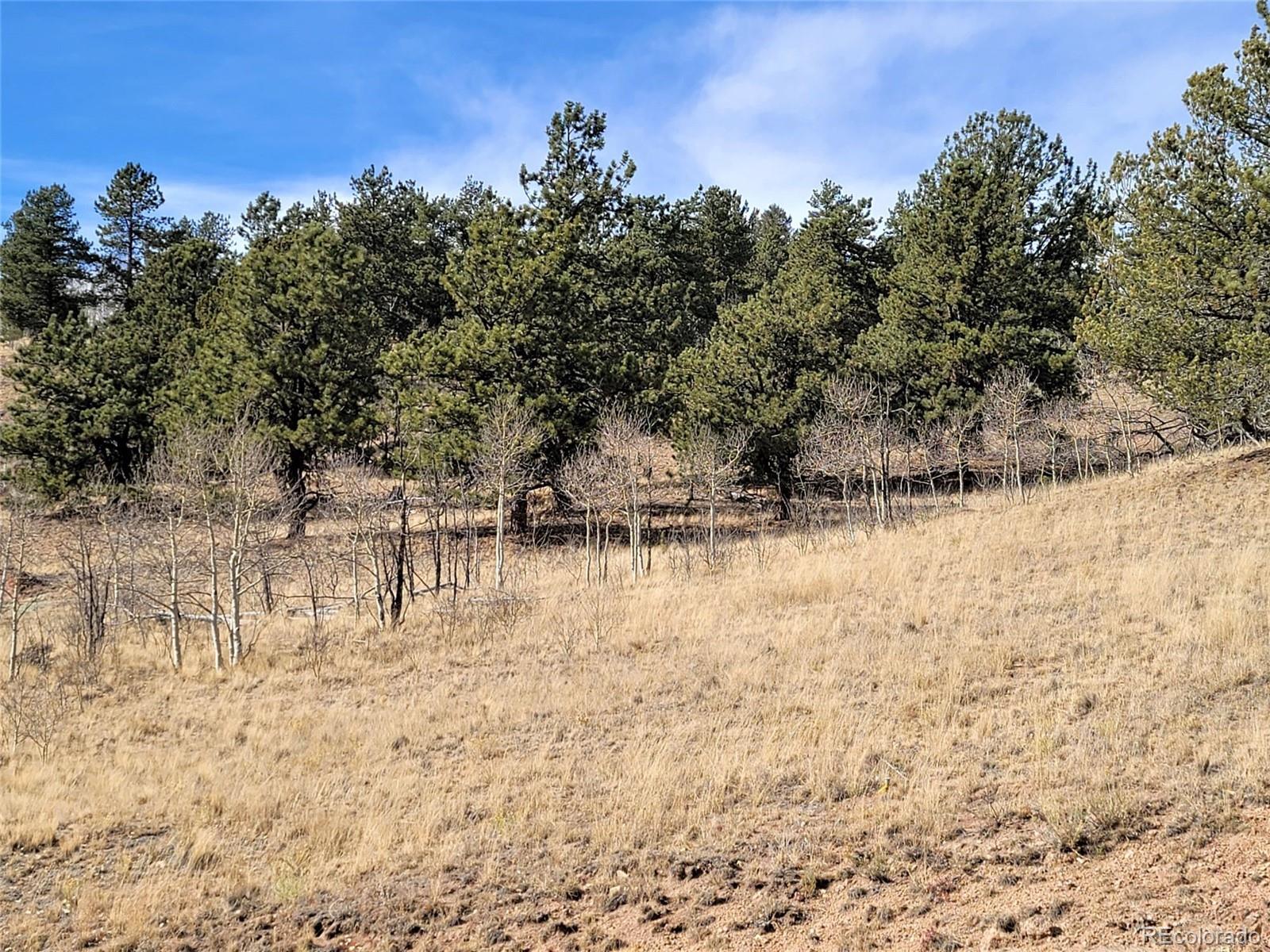 8000 Remington Road Como, CO 80432 - Photo 17 of 17 Gallery Image 17