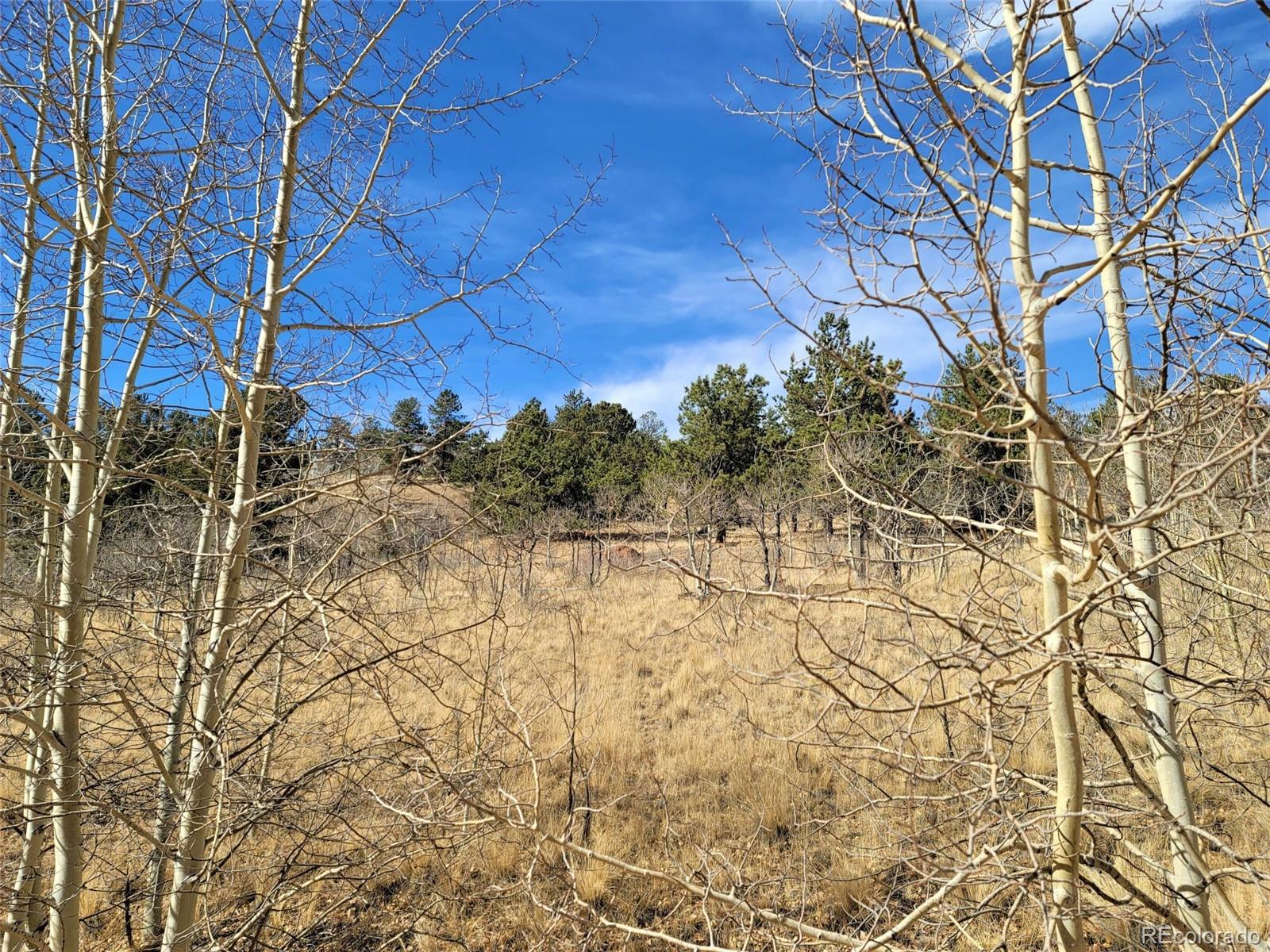 8000 Remington Road Como, CO 80432 - Photo 4 of 17 Gallery Image 4