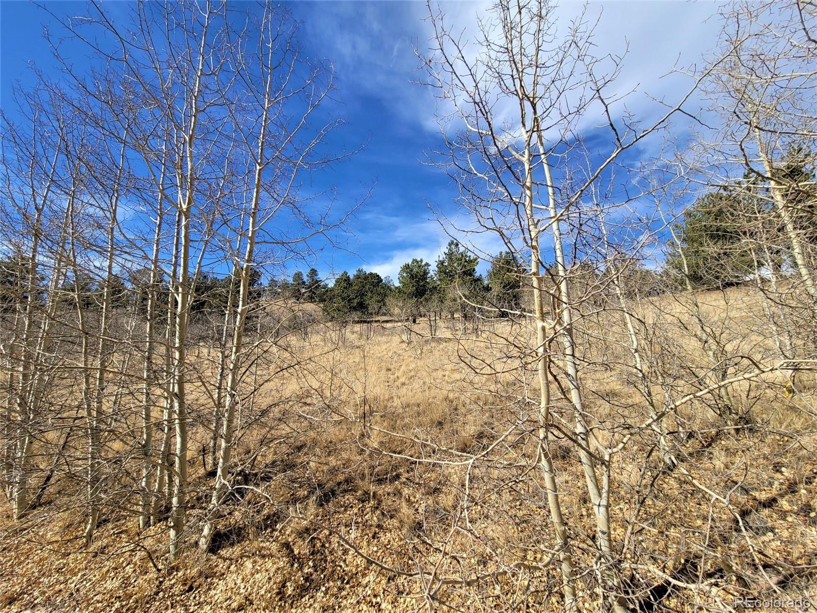 8000 Remington Road Como, CO 80432 - Photo 5 of 17 Gallery Image 5