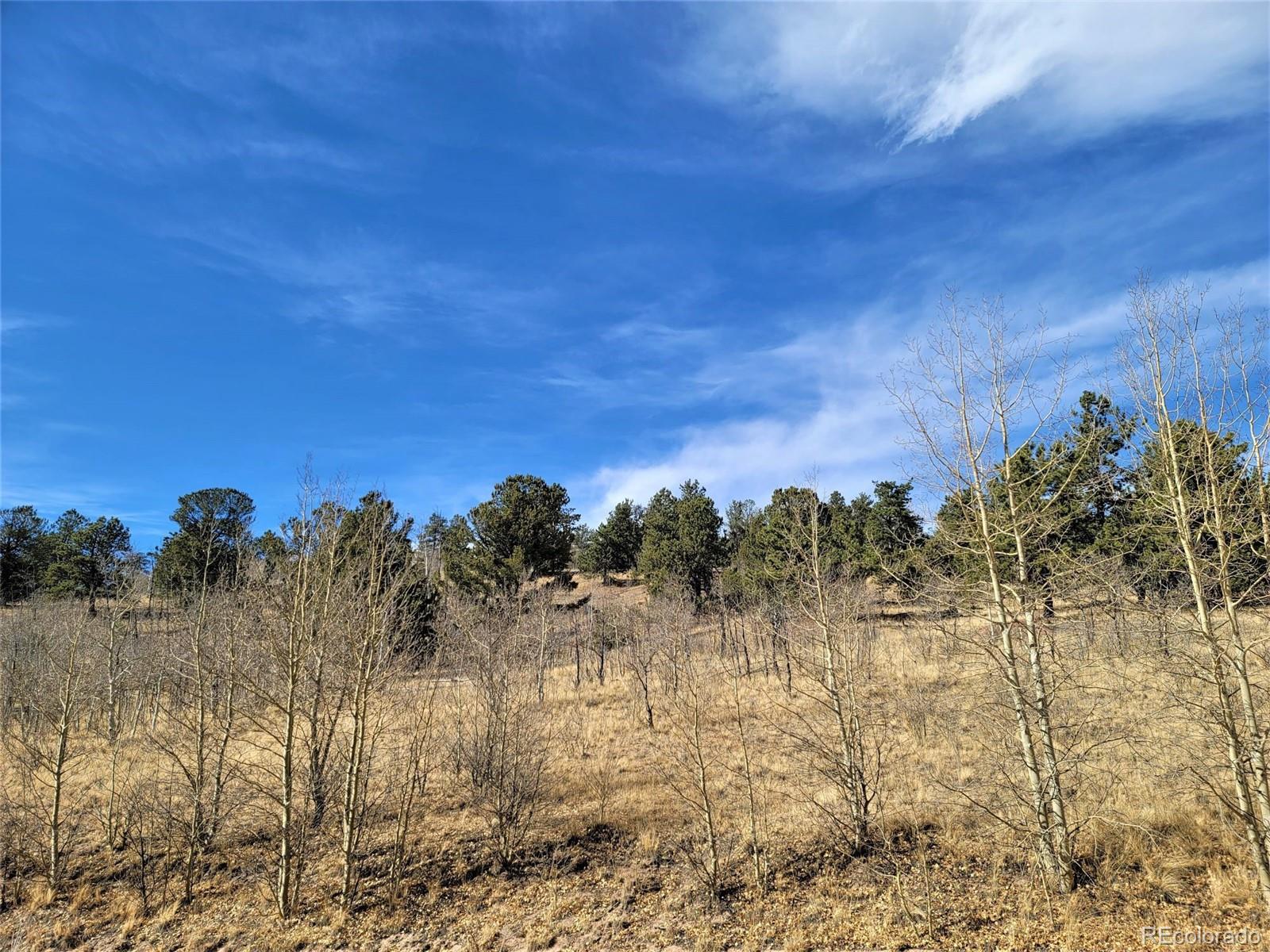 8000 Remington Road Como, CO 80432 - Photo 7 of 17 Gallery Image 7