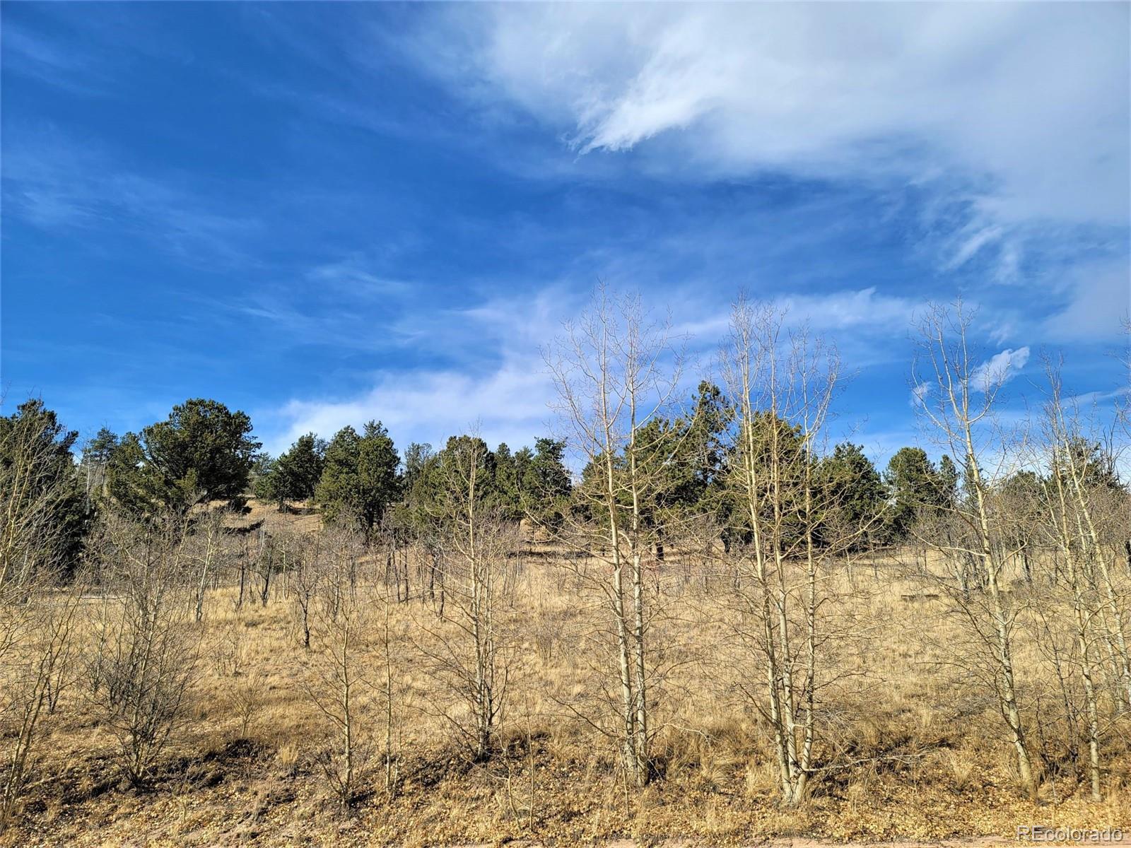 8000 Remington Road Como, CO 80432 - Photo 9 of 17 Gallery Image 9