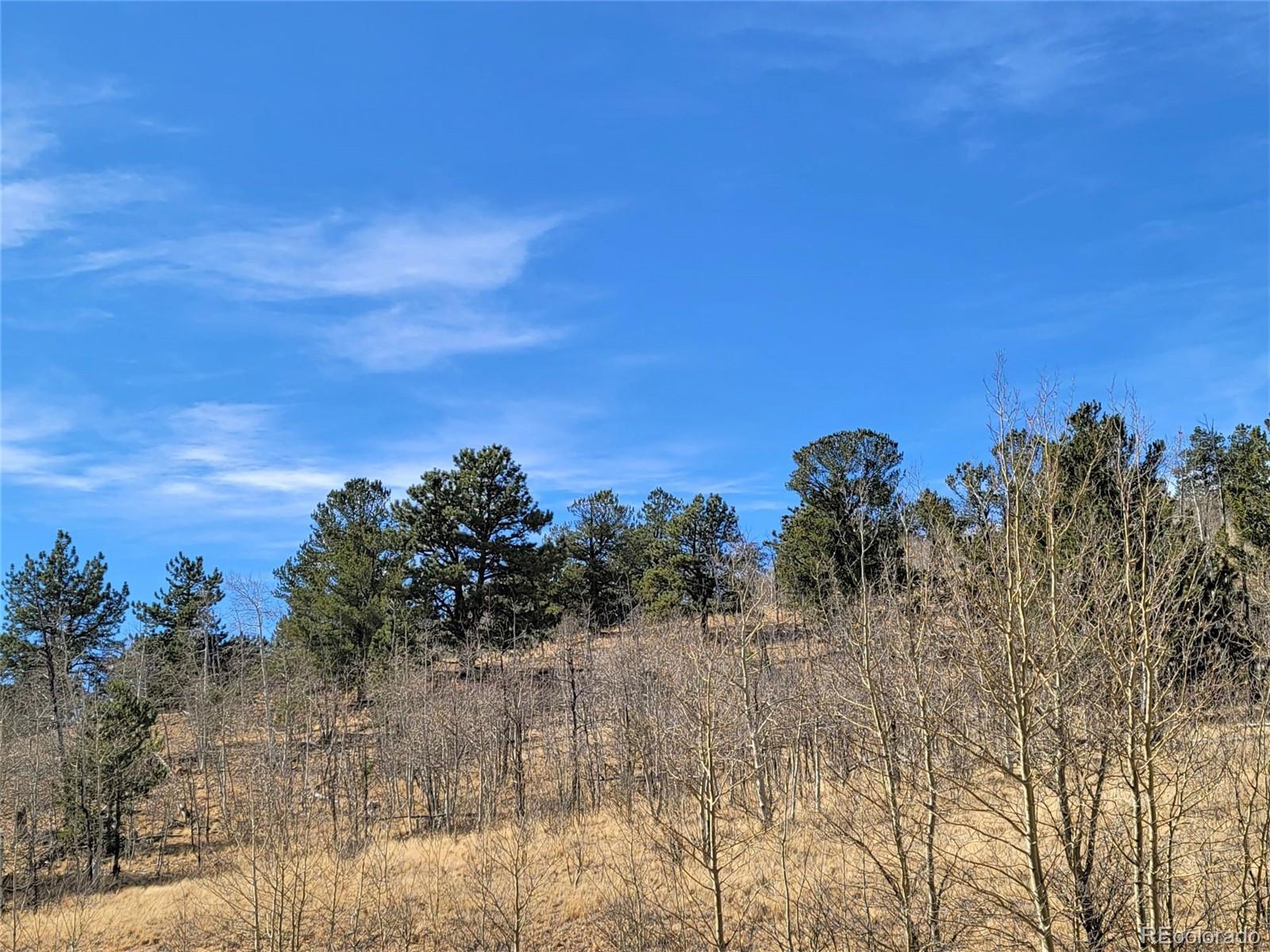 8000 Remington Road Como, CO 80432 - Photo 10 of 17 Gallery Image 10