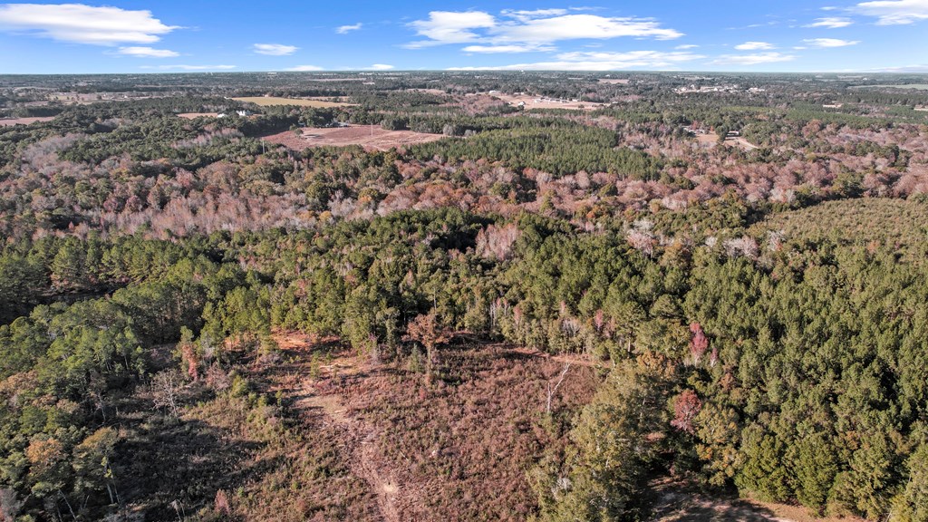 0 Gilley Mill Road Headland, AL 36345 - Photo 10 of 15