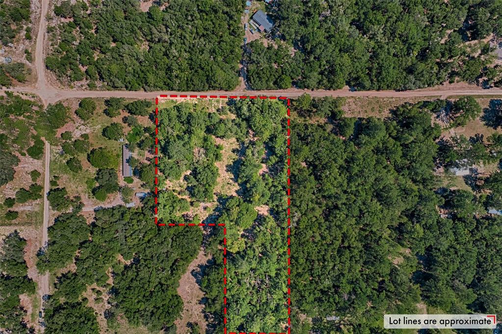 Tbd Northeast 83rd Lane Bronson, FL 32621 - Photo 2 of 9