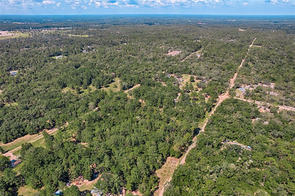 Tbd Northeast 83rd Lane Bronson, FL 32621 - Photo 3 of 9