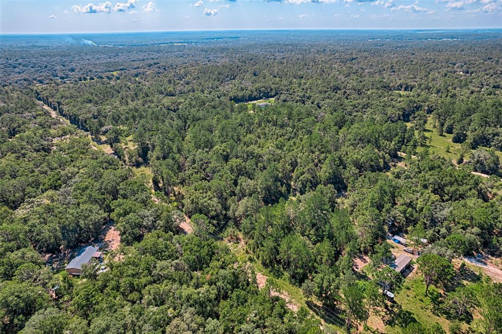 Tbd Northeast 83rd Lane Bronson, FL 32621 - Photo 5 of 9