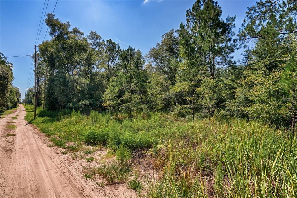 Tbd Northeast 83rd Lane Bronson, FL 32621 - Photo 7 of 9