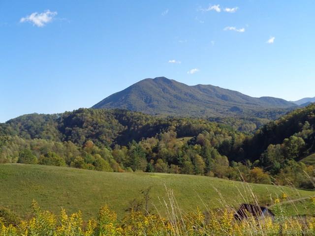 Tbd Off Roundabout Road Creston, NC 28615 - Photo 1 of 30 Gallery Image 1