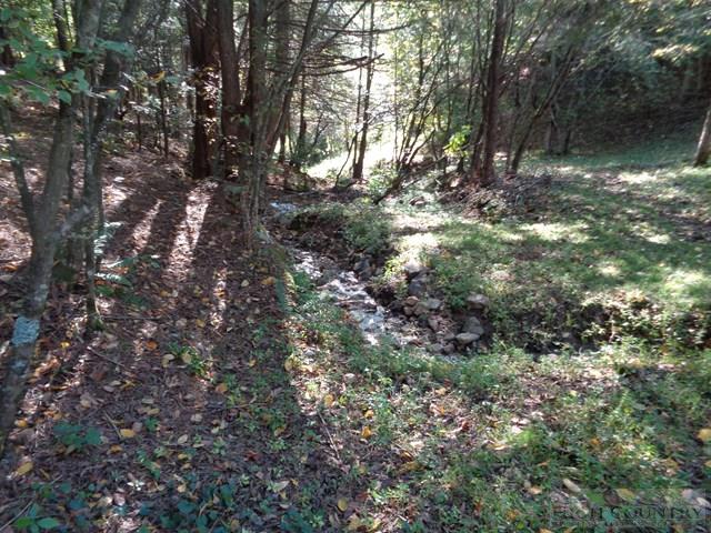 Tbd Off Roundabout Road Creston, NC 28615 - Photo 18 of 30 Gallery Image 18