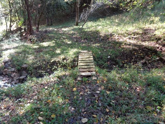 Tbd Off Roundabout Road Creston, NC 28615 - Photo 19 of 30 Gallery Image 19