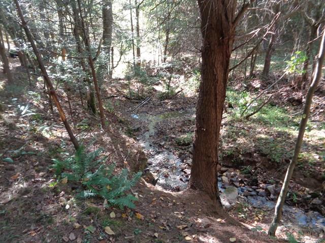Tbd Off Roundabout Road Creston, NC 28615 - Photo 20 of 30 Gallery Image 20