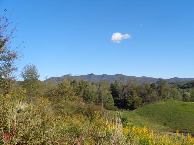 Tbd Off Roundabout Road Creston, NC 28615 - Photo 2 of 30 Gallery Image 2