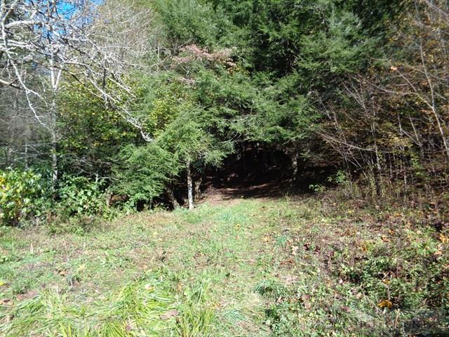 Tbd Off Roundabout Road Creston, NC 28615 - Photo 21 of 30 Gallery Image 21