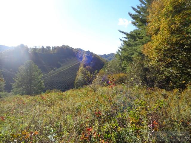 Tbd Off Roundabout Road Creston, NC 28615 - Photo 23 of 30 Gallery Image 23