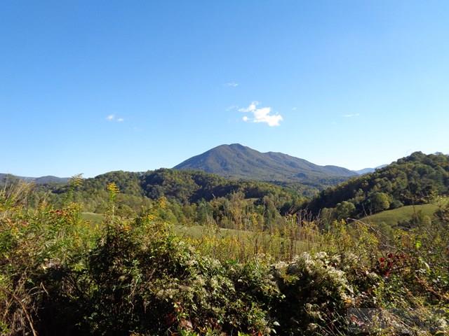 Tbd Off Roundabout Road Creston, NC 28615 - Photo 26 of 30 Gallery Image 26