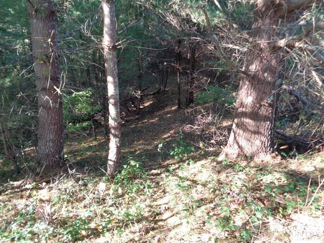 Tbd Off Roundabout Road Creston, NC 28615 - Photo 27 of 30 Gallery Image 27