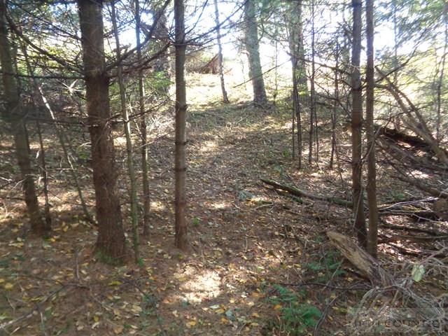 Tbd Off Roundabout Road Creston, NC 28615 - Photo 28 of 30 Gallery Image 28