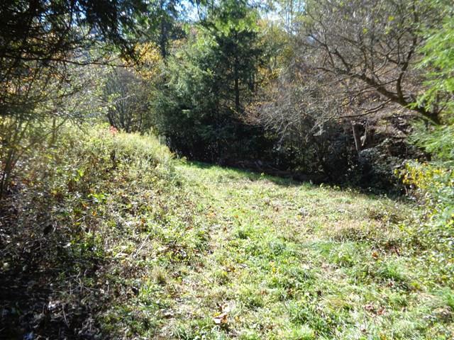 Tbd Off Roundabout Road Creston, NC 28615 - Photo 3 of 30 Gallery Image 3