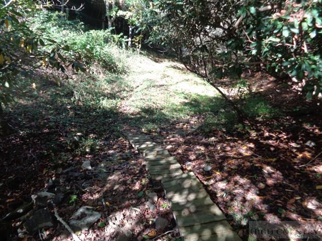 Tbd Off Roundabout Road Creston, NC 28615 - Photo 4 of 30 Gallery Image 4