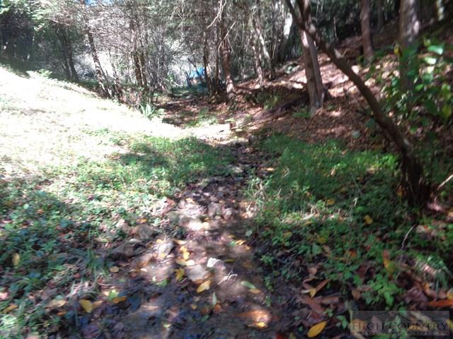 Tbd Off Roundabout Road Creston, NC 28615 - Photo 5 of 30 Gallery Image 5
