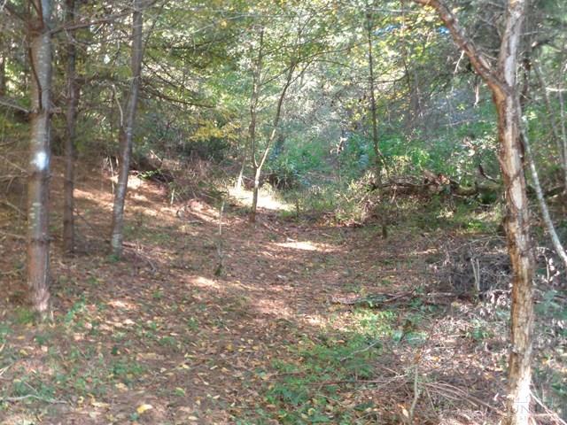 Tbd Off Roundabout Road Creston, NC 28615 - Photo 8 of 30 Gallery Image 8