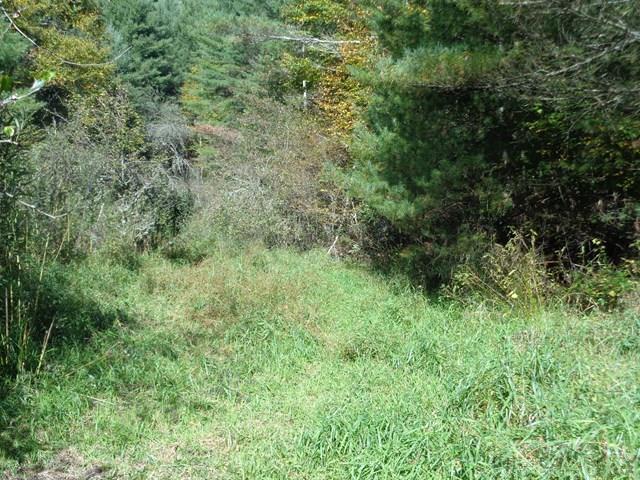 Tbd Off Roundabout Road Creston, NC 28615 - Photo 10 of 30 Gallery Image 10