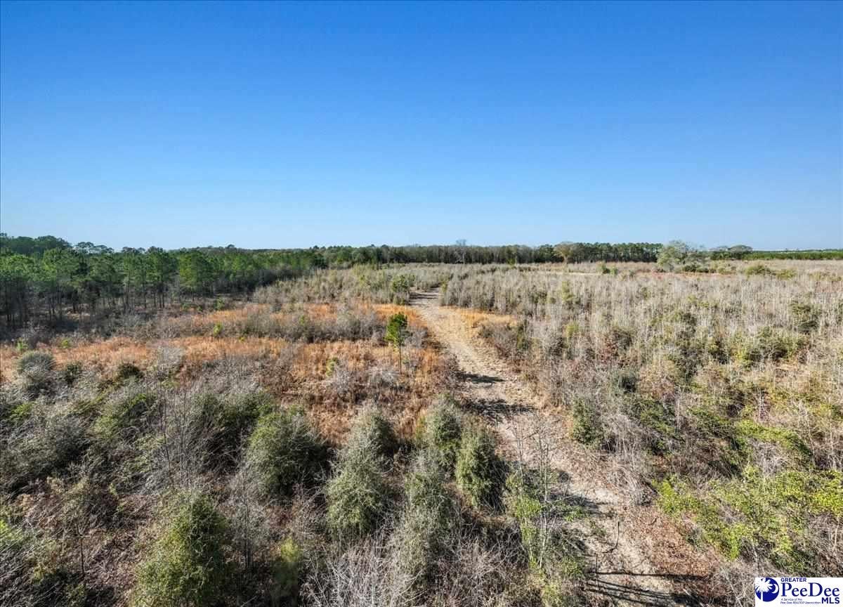 Lot #5 Harmony Hall Road Darlington, SC 29532 - Photo 4 of 5 Gallery Image 4