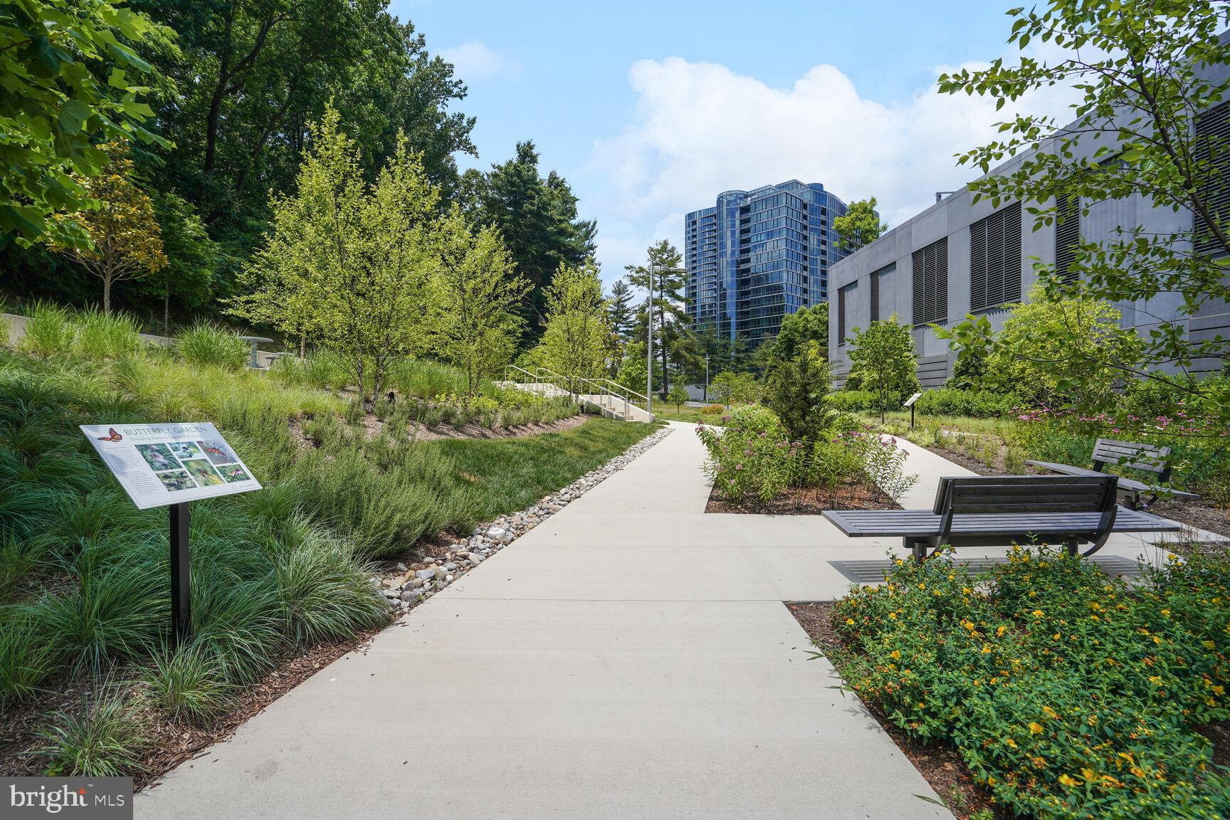 7887 Jones Branch Drive, Unit 803 McLean, VA 22102 - Photo 25 of 35 a view of a bench in a garden