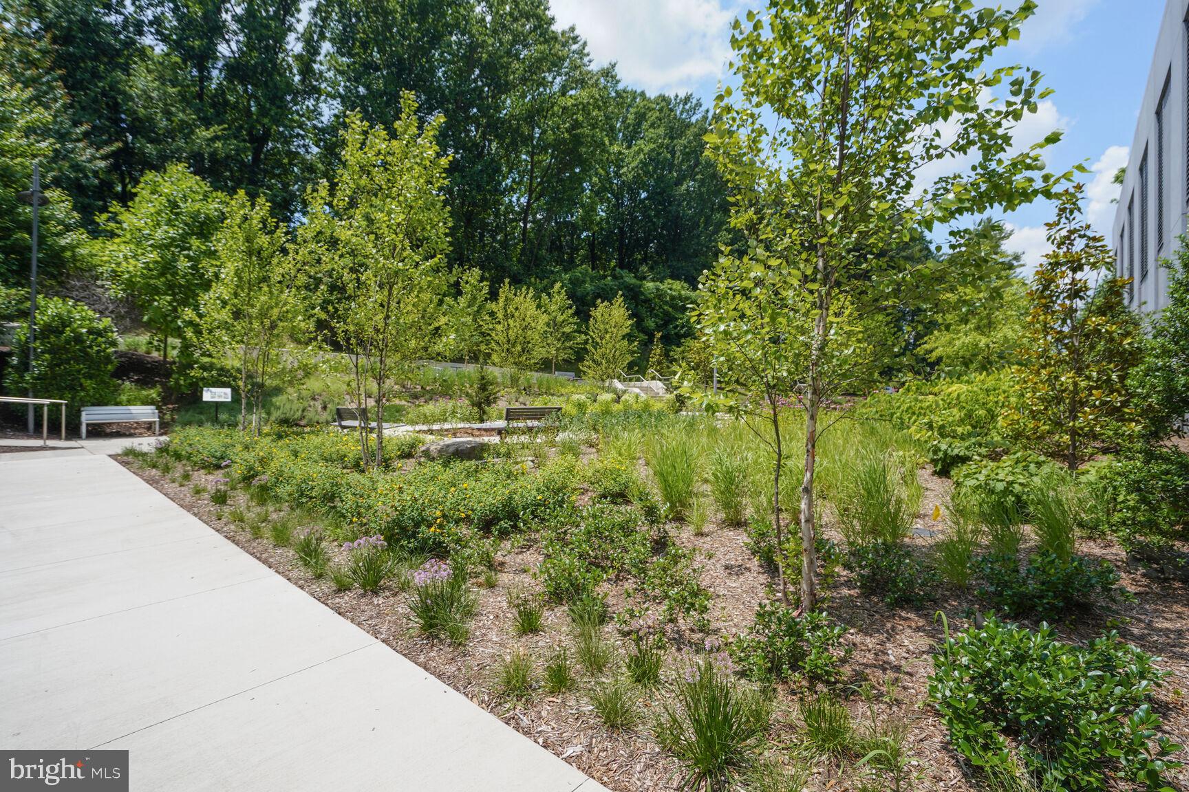 7887 Jones Branch Drive, Unit 803 McLean, VA 22102 - Photo 28 of 35 a view of a garden with a house