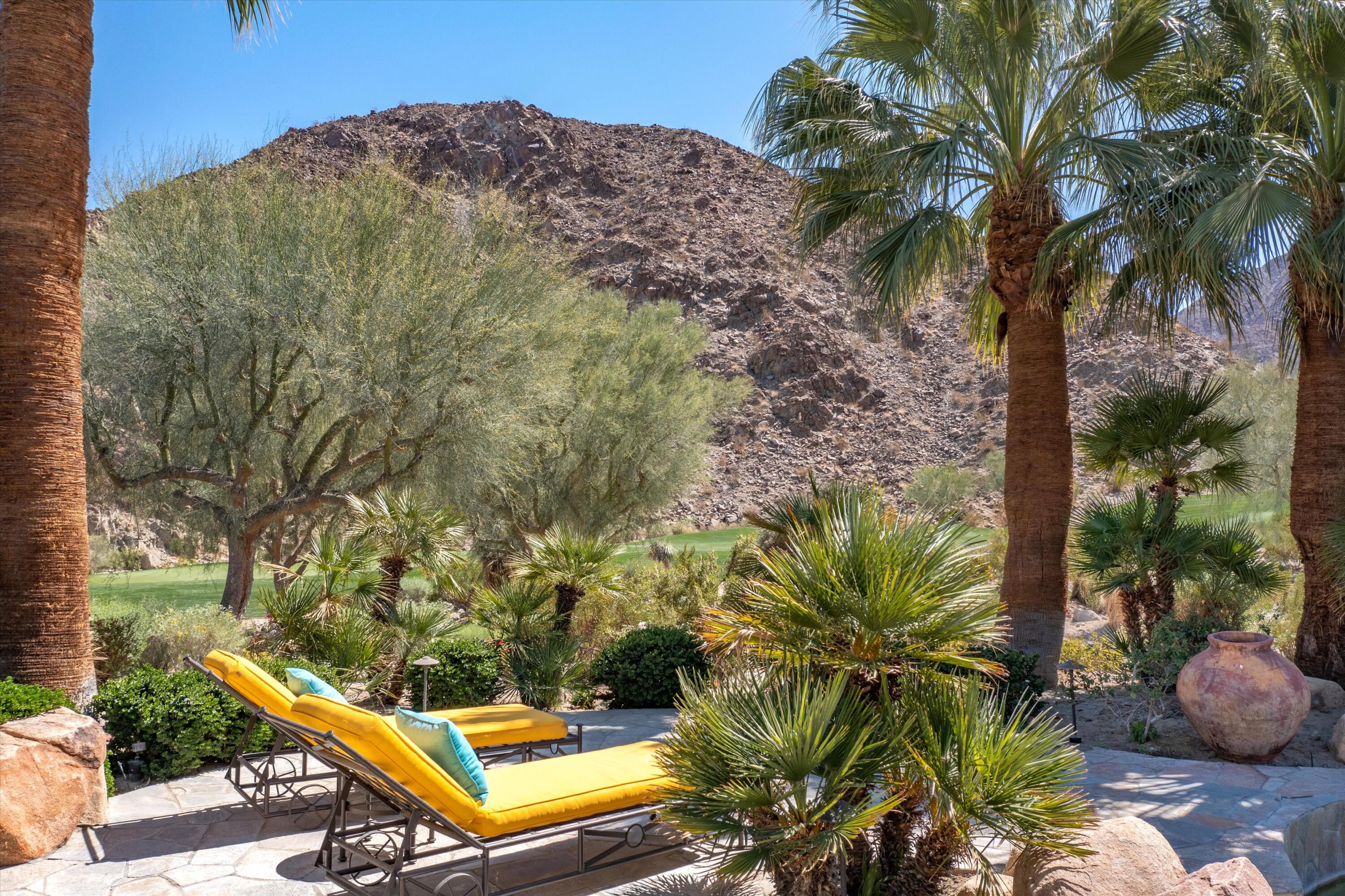 78411 Talking Rock Turn La Quinta, CA 92253 - Photo 29 of 70 a view of a backyard with plants