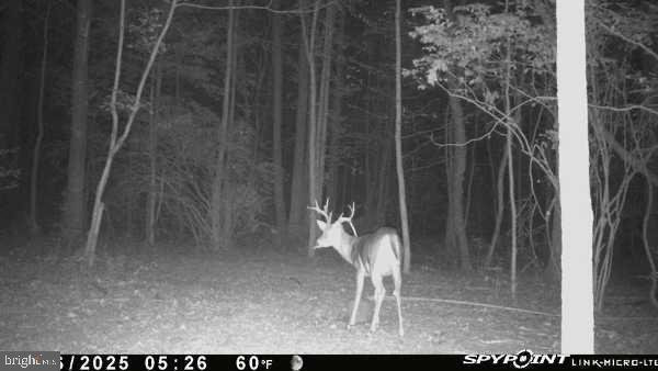 150 Penns Grove Auburn Road Carneys Point, NJ 08069 - Photo 14 of 16 a view of entryway