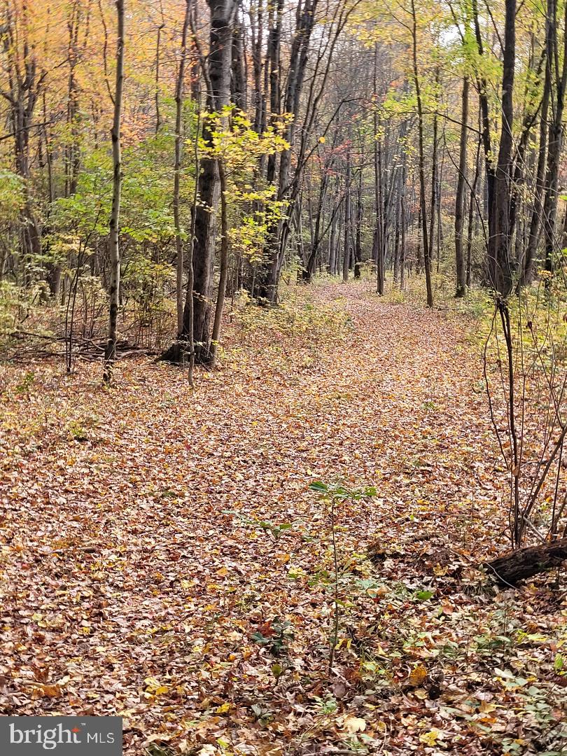 150 Penns Grove Auburn Road Carneys Point, NJ 08069 - Photo 15 of 16 a view of empty space with trees