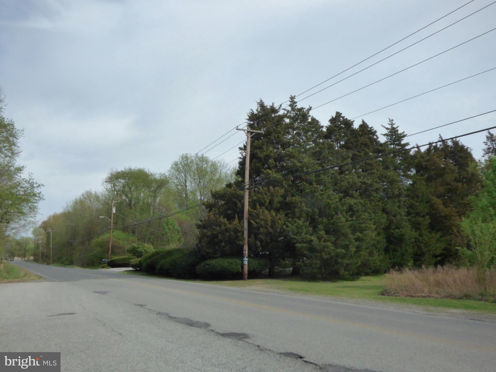150 Penns Grove Auburn Road Carneys Point, NJ 08069 - Photo 5 of 16 a backyard of a house with lots of green space