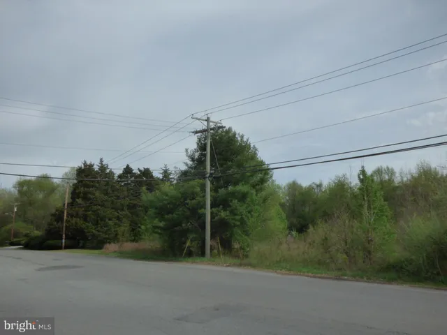 a view of a field with a tree