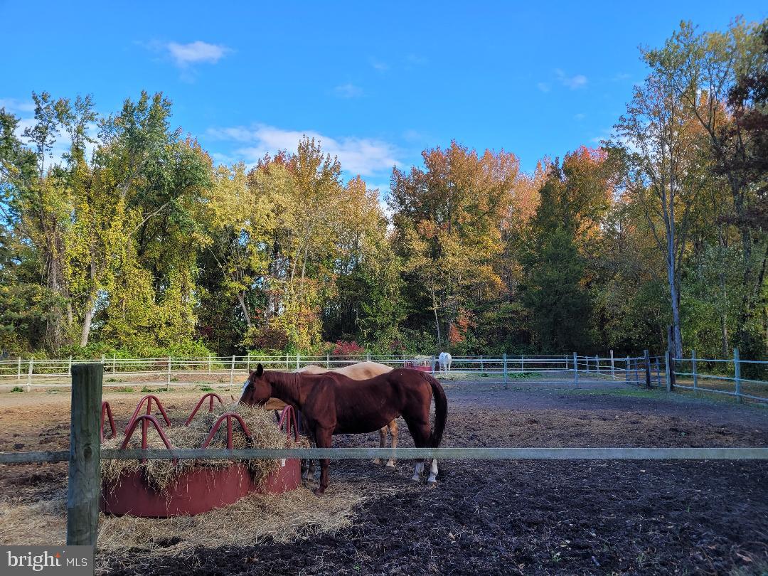 150 Penns Grove Auburn Road Carneys Point, NJ 08069 - Photo 10 of 16 a view of backyard with outdoor seating and green space