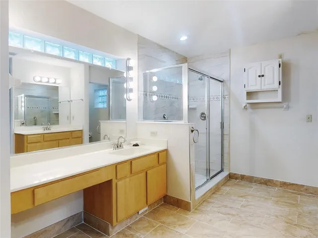 a view of a garden with plants and large trees