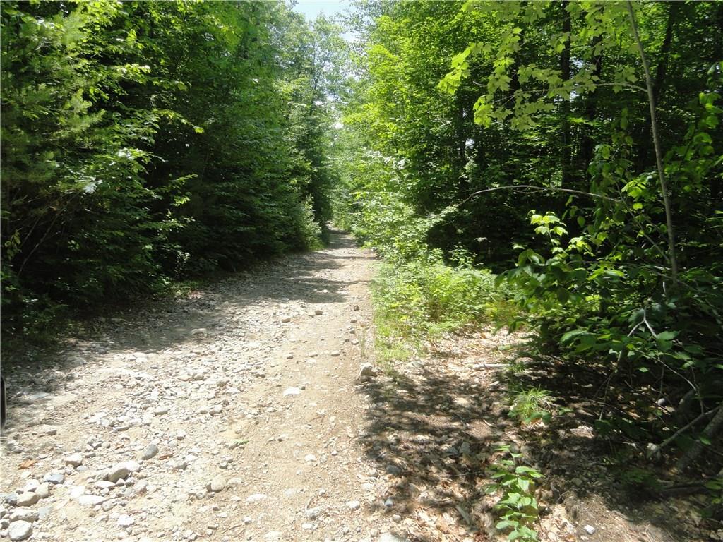 0 Goshen Road Waterford, ME 04088 - Photo 4 of 4 Road frontage on Goshen, left side