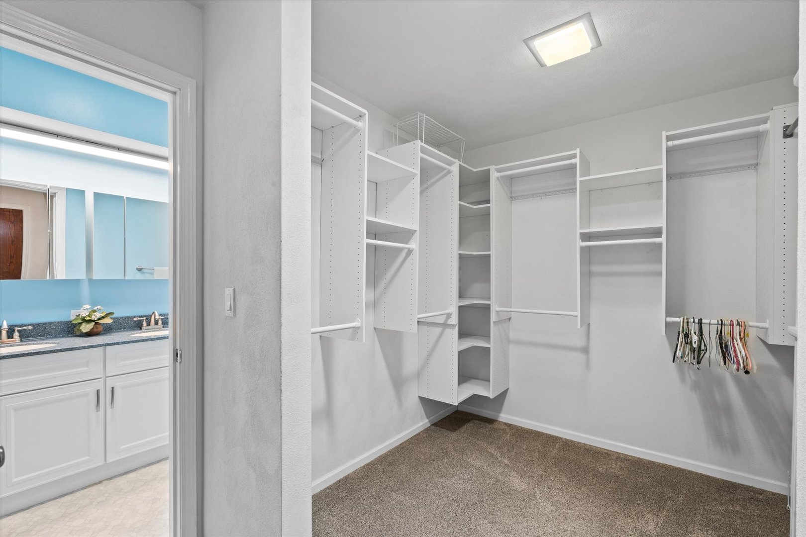 10 Oak Grove Road Geneseo, IL 61254 - Photo 19 of 43 a view of walk in closet with bathroom