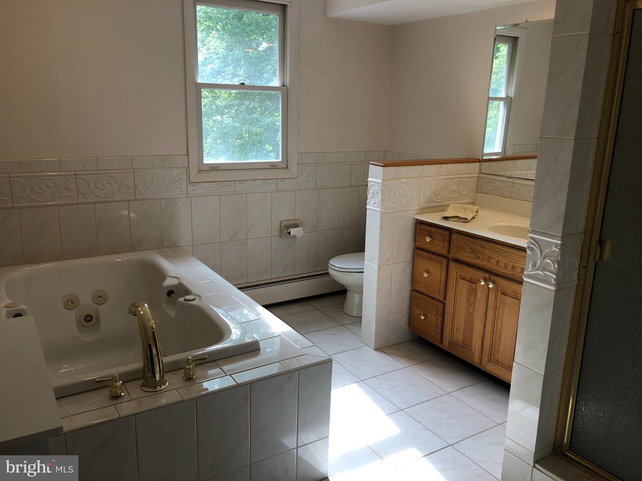 685 New Galena Road Chalfont, PA 18914 - Photo 39 of 62 Hall Bathroom